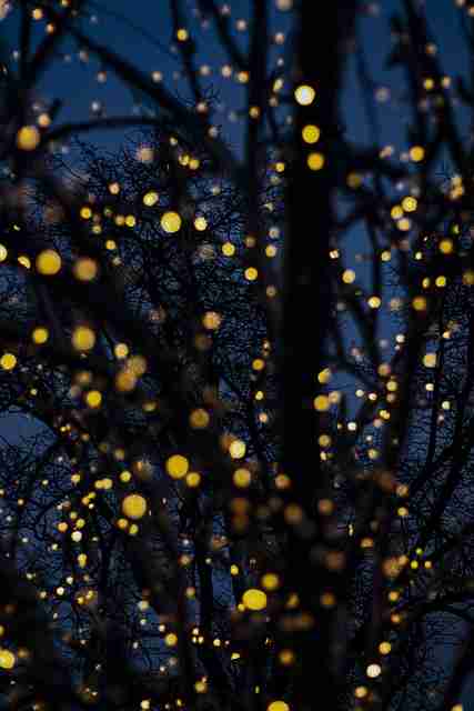 极致绚彩4K【迷情迷途】吴磊×宋慧乔私密狂欢超速加载HD中字