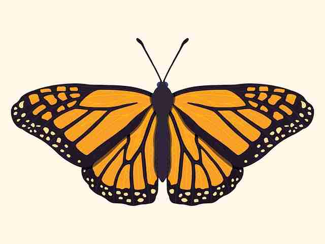 限量蓝光【恋之欲室】金泰熙×裴秀智半夜悸动极速秒开高清中字