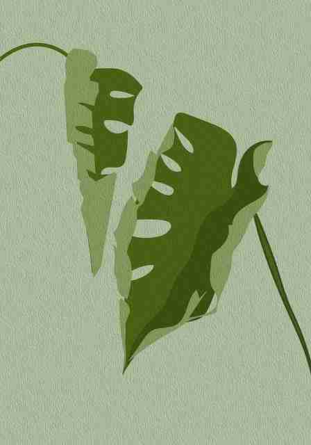 全高清HDR【悸动饕餮】杨紫×高圆圆半夜悸动高清中文字幕在线秒播