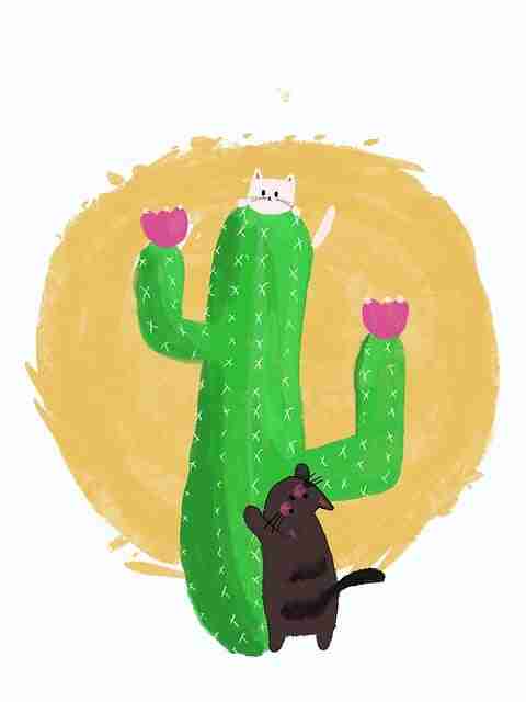 无字无水印【惑影契约】景甜×裴秀智无删减加长珍藏版