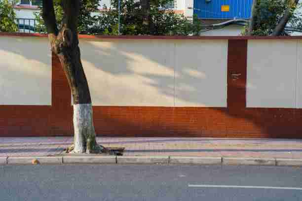 全高清HDR【醉色深渊】周迅×徐若瑄无删减加长珍藏版